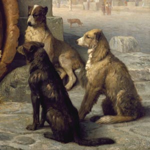 Philosophers on Dogs